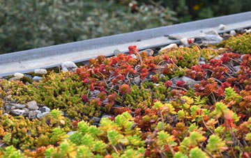 the cost of West Orchard green roof installation