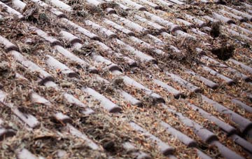 West Orchard roof cleaning companies